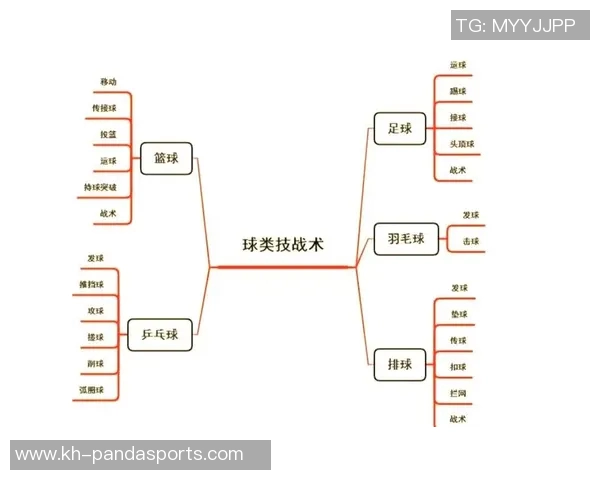 体育实时数据从零基础到高手排球比赛全方位实战技巧与经验分享